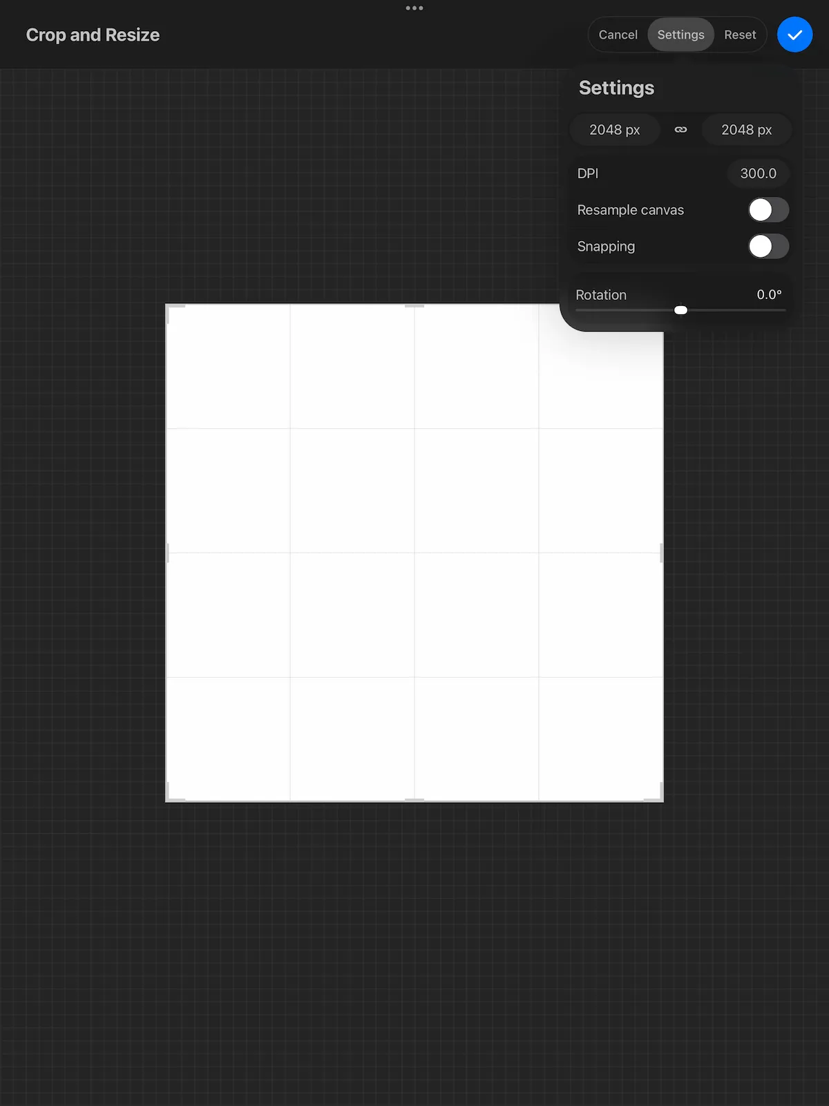 Procreate-Leinwandeinstellungen — Größe und DPI