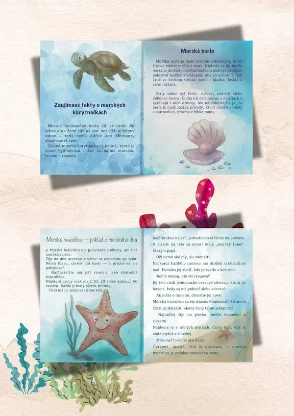 Turtle and starfish spread - 03